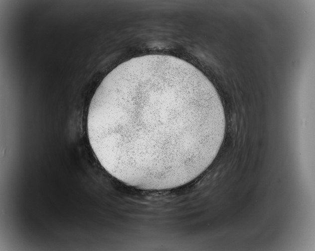 X0000087581205200705251834