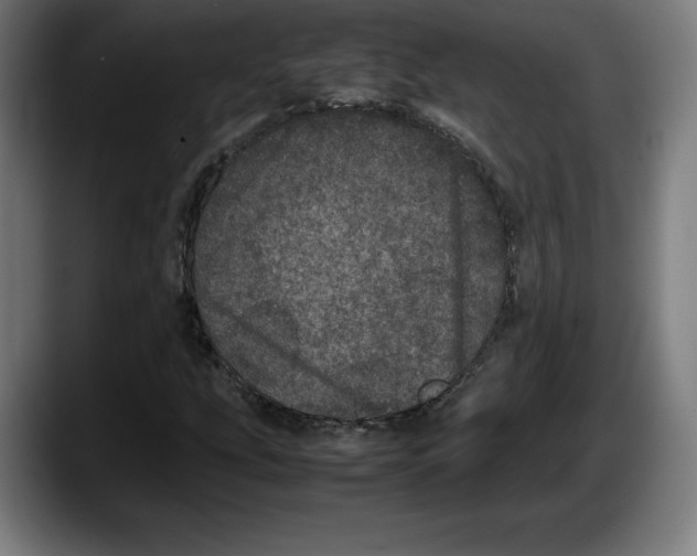 X0000087581207200705251834