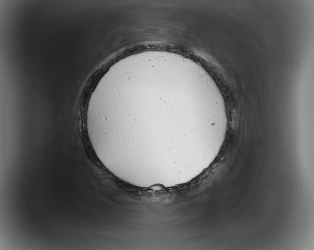 X0000087581208200705251834