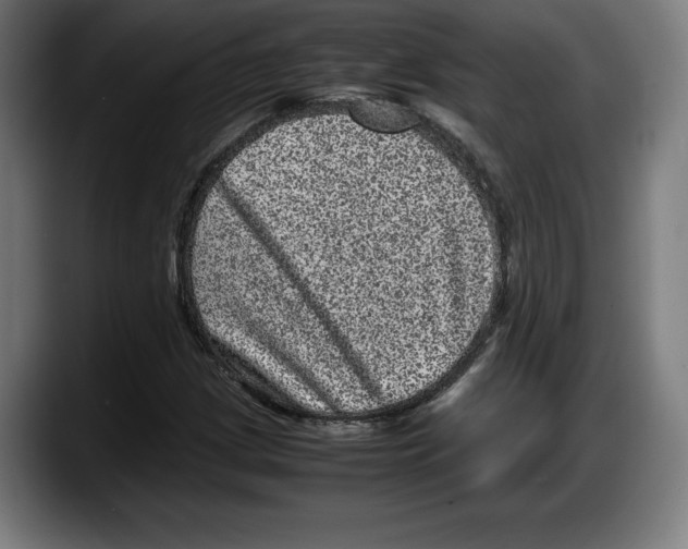 X0000087581209200705251834