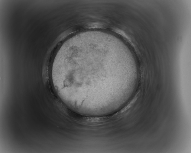 X0000087581211200705251834