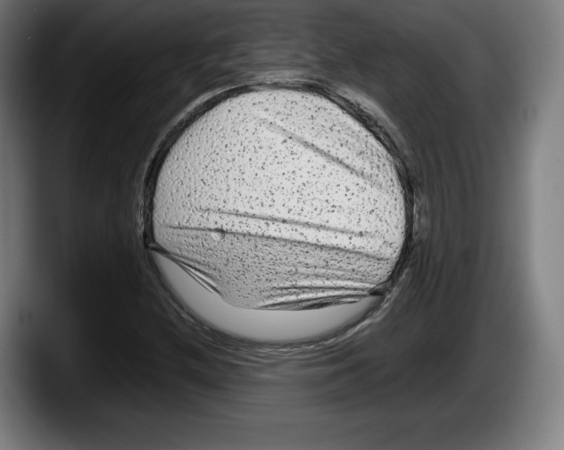 X0000087581212200705251834