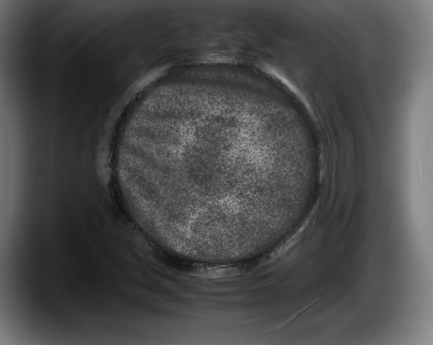 X0000087581213200705251834