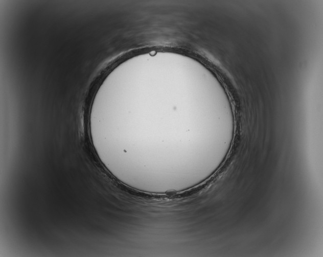 X0000087581214200705251834