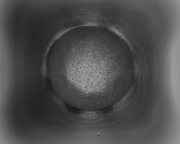 X0000087581215200705251834