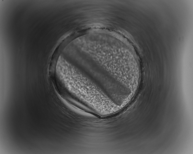 X0000087581218200705251834