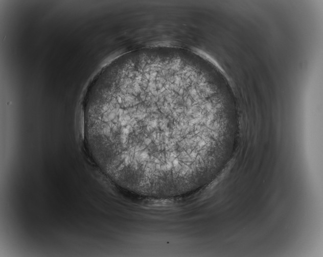 X0000087581219200705251834