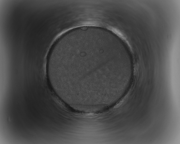 X0000087581222200705251834