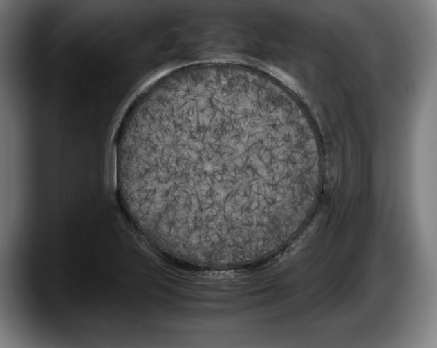 X0000087581223200705251834