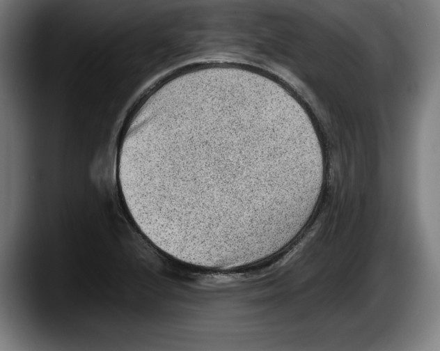 X0000087581224200705251834