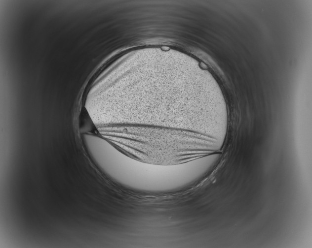 X0000087581228200705251834