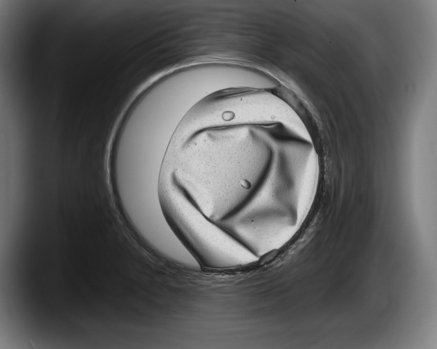 X0000087581230200705251834