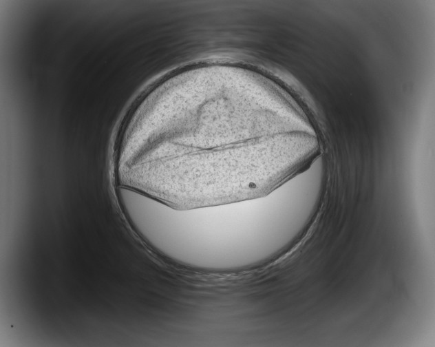 X0000087581232200705251834