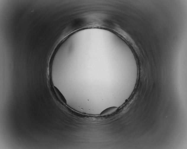X0000087581234200705251834