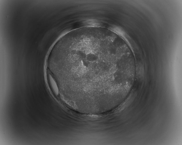 X0000087581235200705251834
