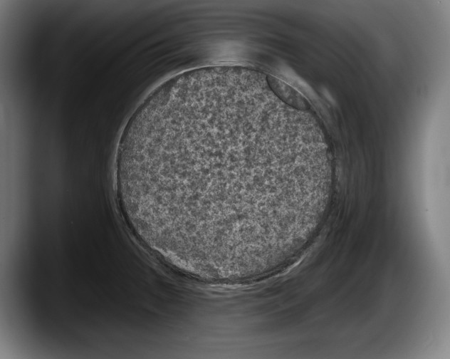 X0000087581236200705251834