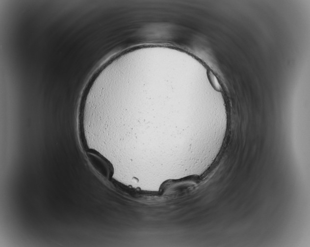 X0000087581237200705251834