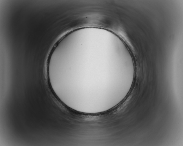 X0000087581238200705251834
