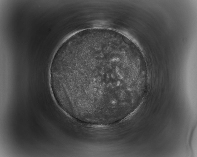 X0000087581239200705251834