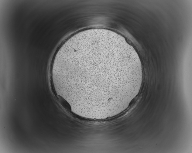 X0000087581240200705251834