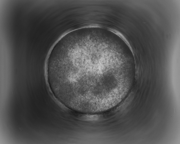 X0000087581243200705251834