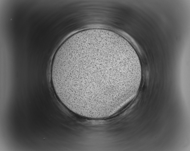 X0000087581244200705251834