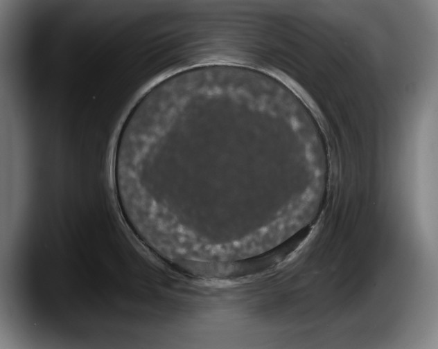 X0000087581246200705251834