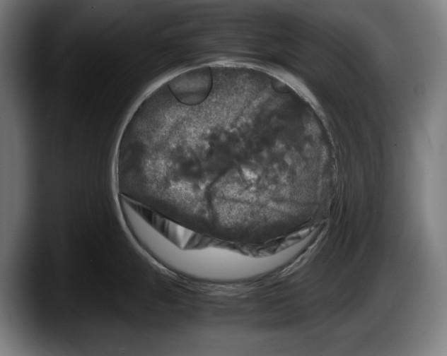 X0000087581247200705251835