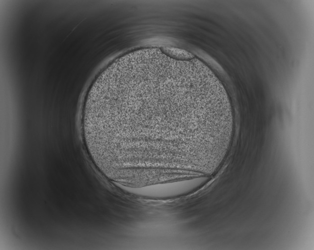 X0000087581248200705251835