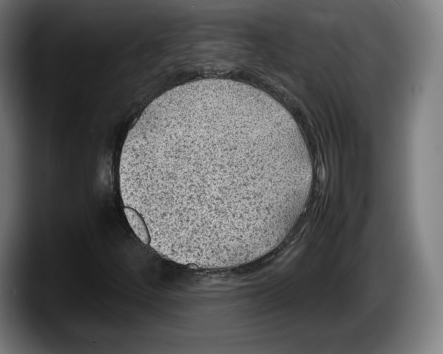 X0000087581252200705251834