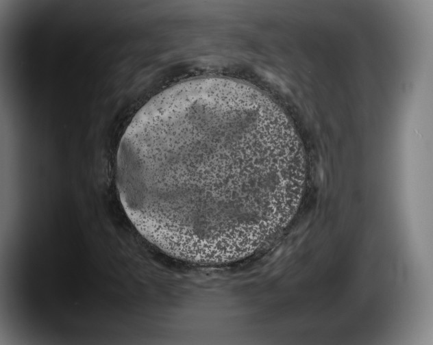 X0000087581253200705251834