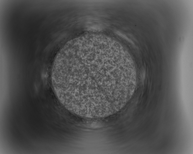 X0000087581254200705251834
