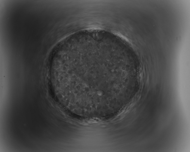 X0000087581255200705251834