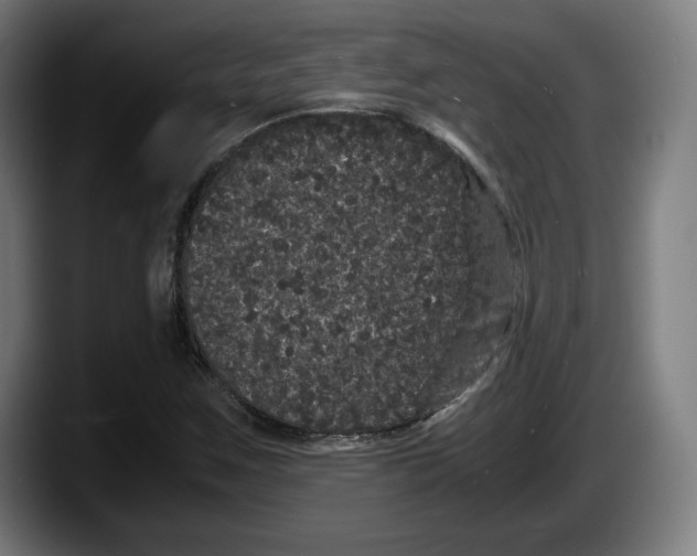 X0000087581259200705251834