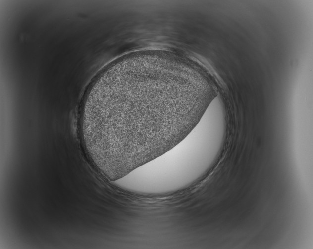 X0000087581260200705251834