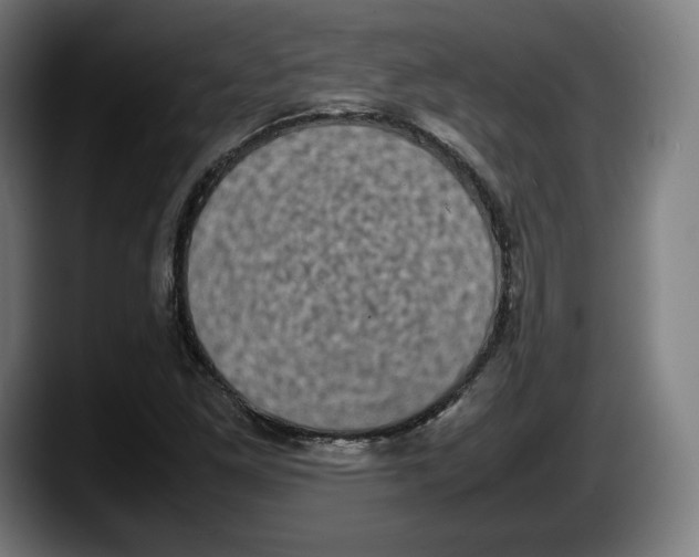 X0000087581261200705251834