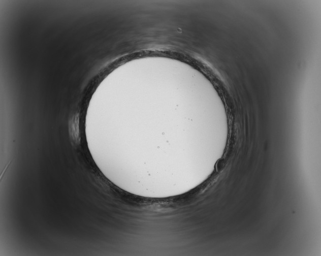 X0000087581262200705251834