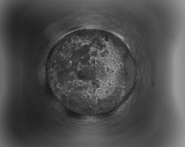 X0000087581263200705251834