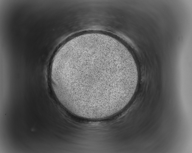 X0000087581264200705251834