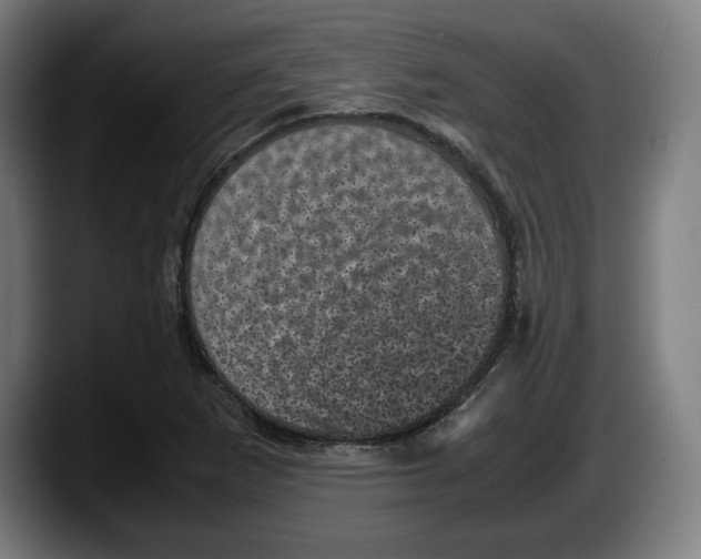 X0000087581265200705251834