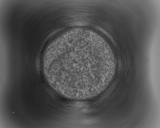 X0000087581266200705251834