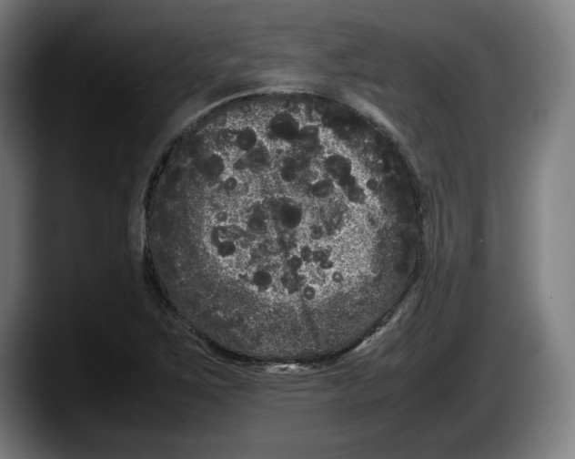 X0000087581267200705251834