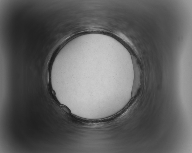 X0000087581269200705251834