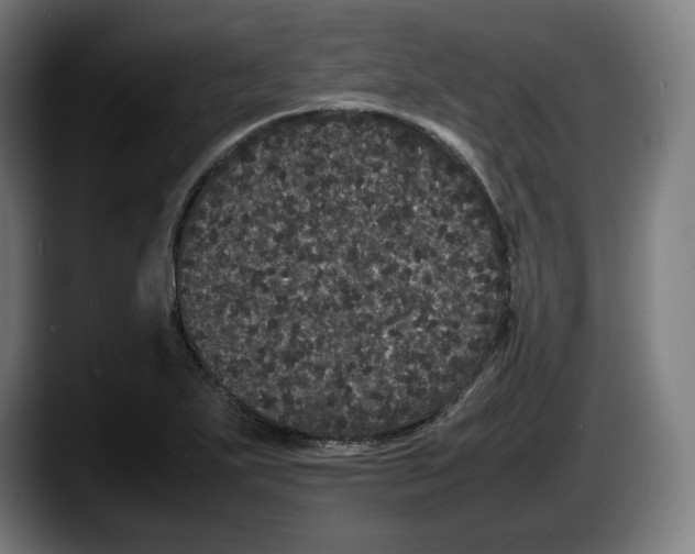 X0000087581271200705251834