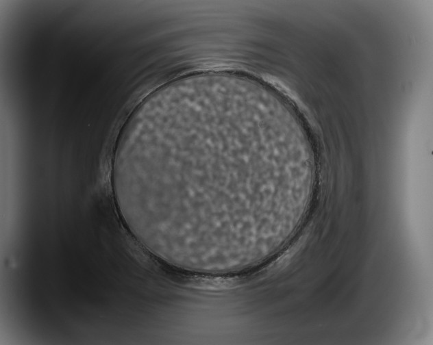 X0000087581273200705251834