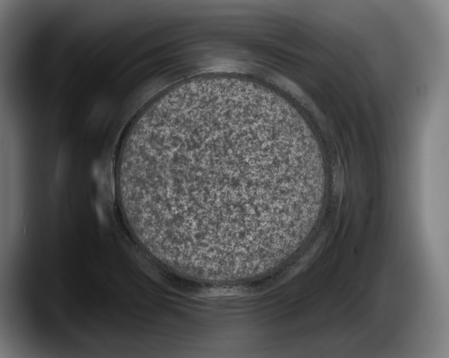 X0000087581274200705251834
