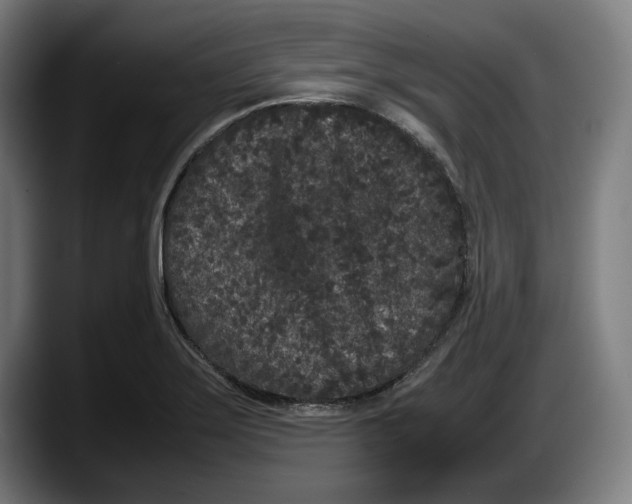 X0000087581275200705251834