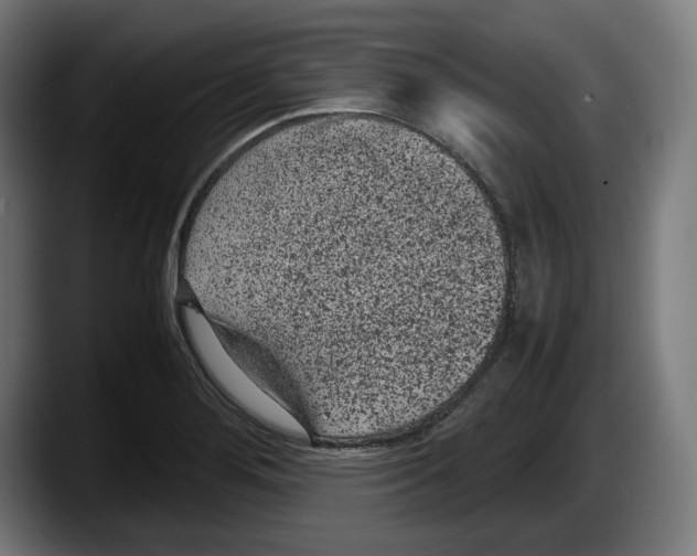 X0000087581276200705251834