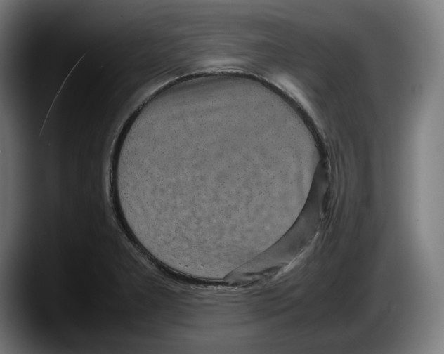 X0000087581277200705251834