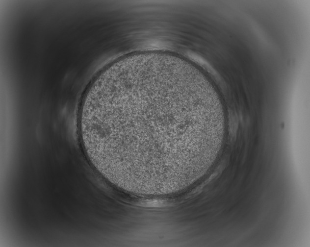 X0000087581278200705251834